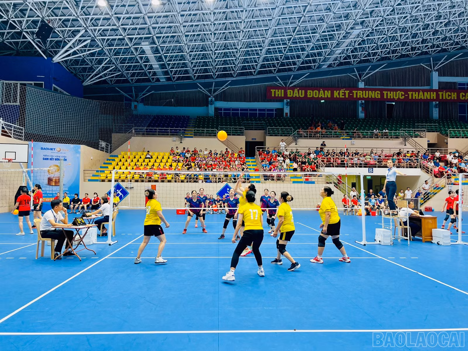 baolaocai-br_z6608874334988-8ad777c0e6a38e00f8190413f38f2793.jpg