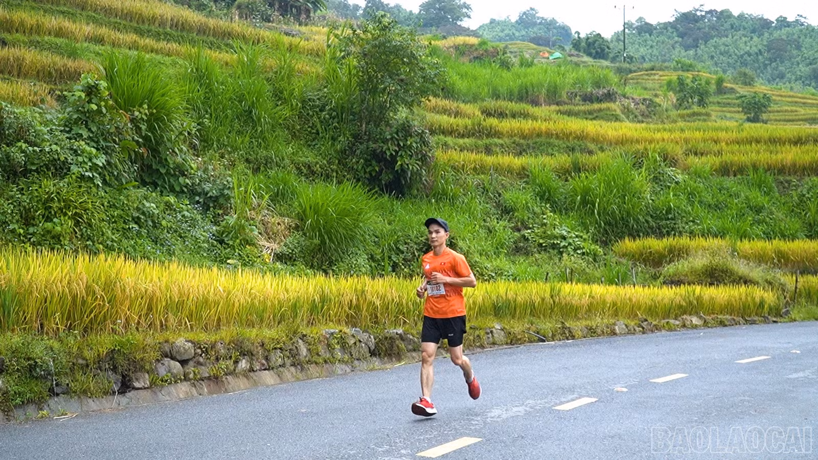 baolaocai-br_chuyen-de-van-hoa-the-thao-copy00-13-30-19still874.jpg