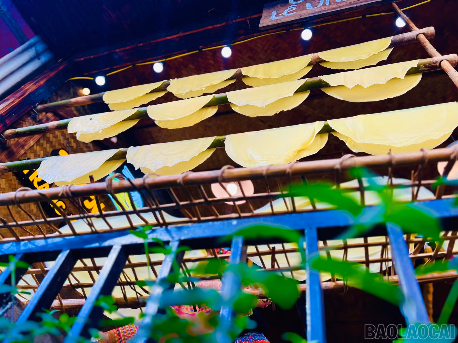 baolaocai-br_z7200142269776-fdc01757dc49fbec8fe5bbbfded15ceb.jpg