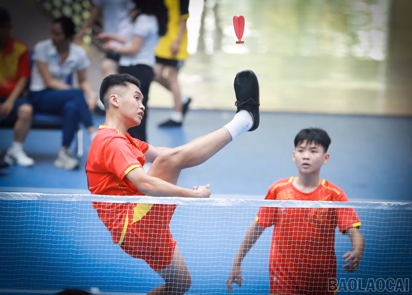 baolaocai-br_1793245772964-4509716236331767429-g8290523949535429405-54c6dd9f077606b4106eeee2c327a233.jpg