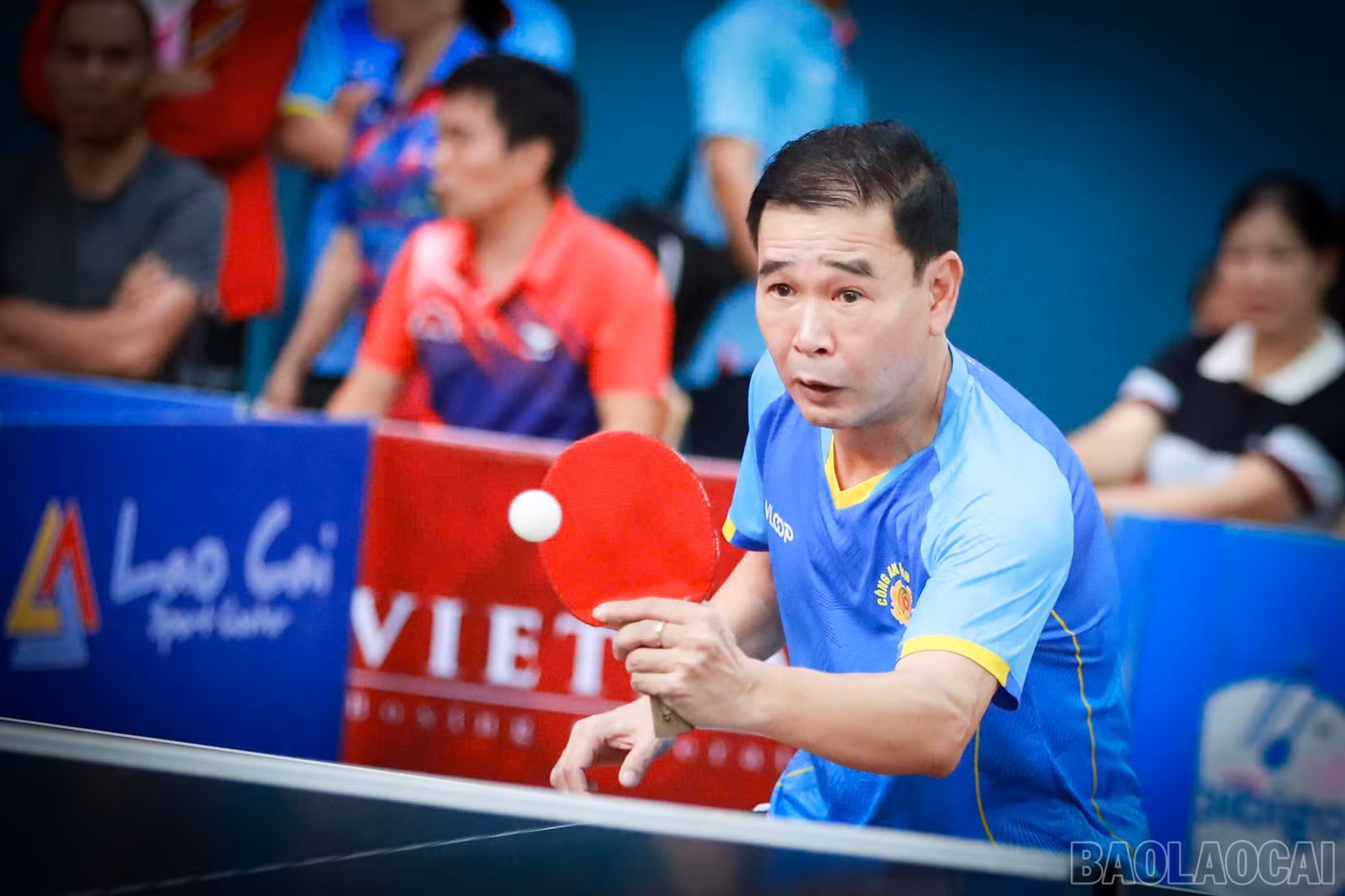 baolaocai-br_1793245772911-4509716236331767429-g8290523949535429405-1429094d29e3b22871ef0958c4c9c8d3.jpg
