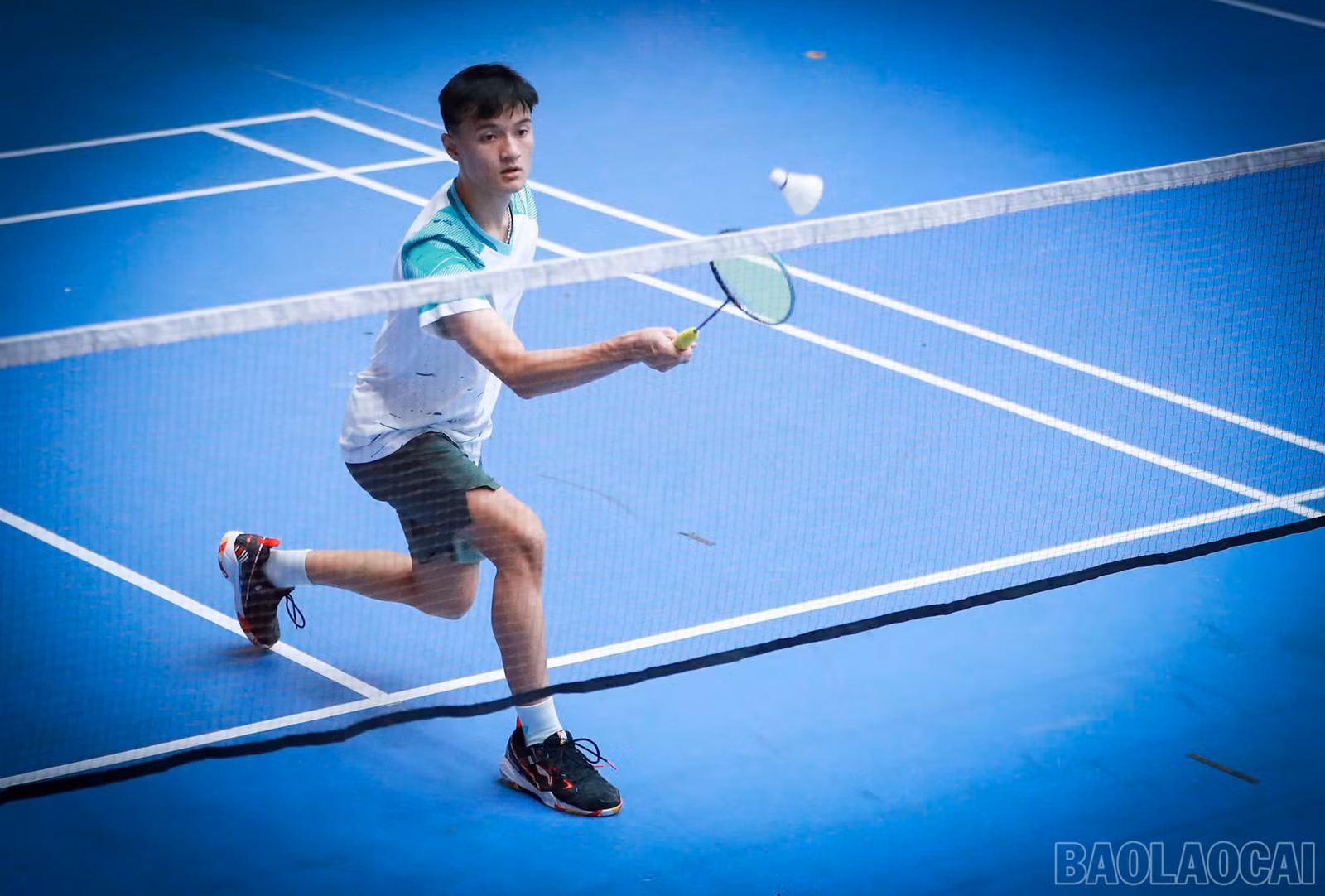 baolaocai-br_1793245772928-4509716236331767429-g8290523949535429405-1cdcf9303dccf678c70f8b9e91f05bc6.jpg