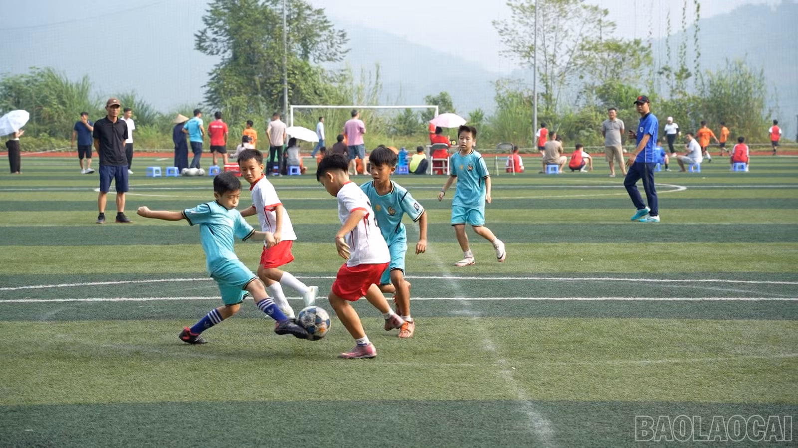 baolaocai-br_c087000-02-25-12still011.jpg
