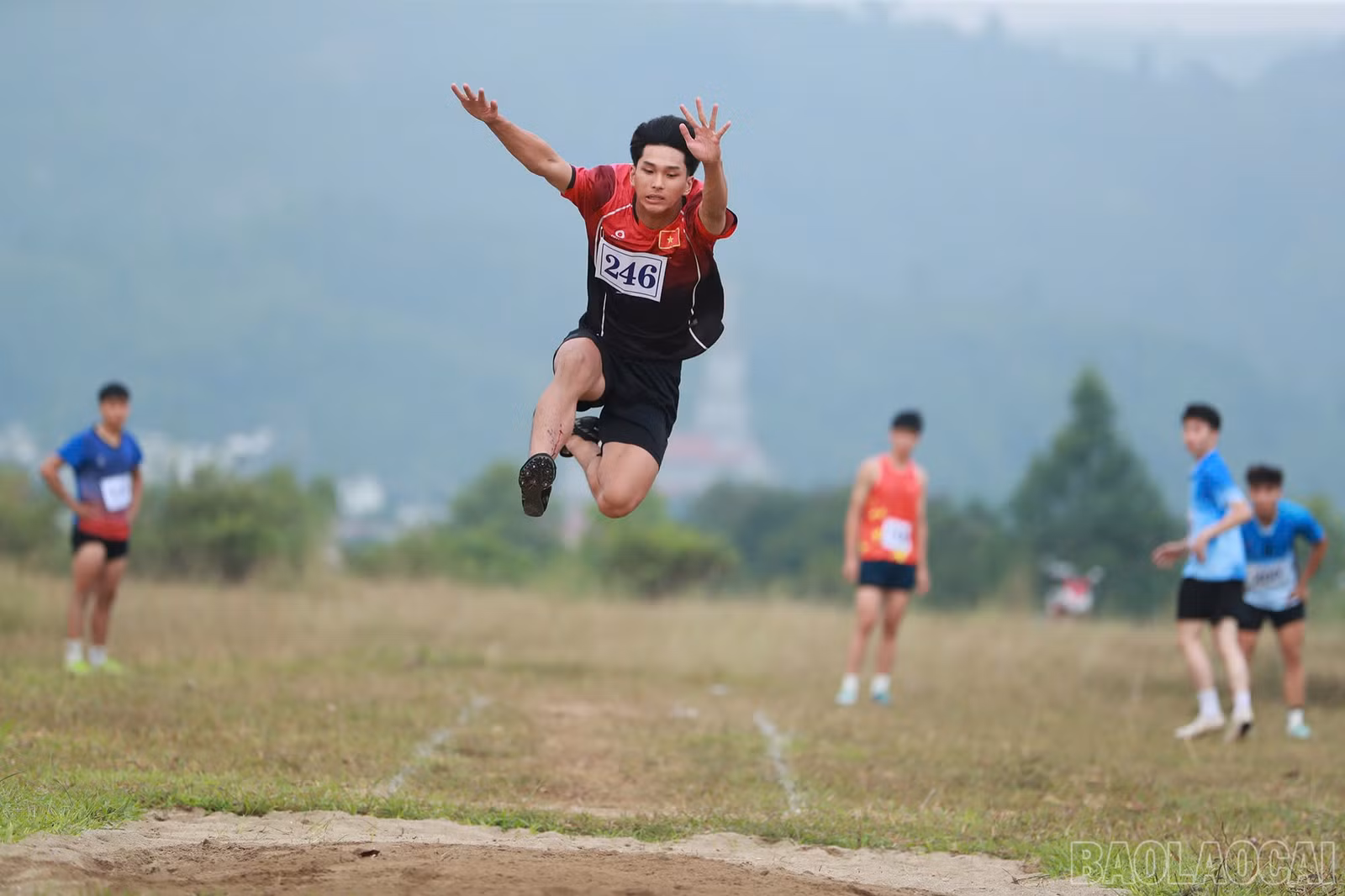 baolaocai-br_1793416876538-4509716236331767429-4509716236331767429-3c65ce3271cb5c427fd36168fc004961.jpg