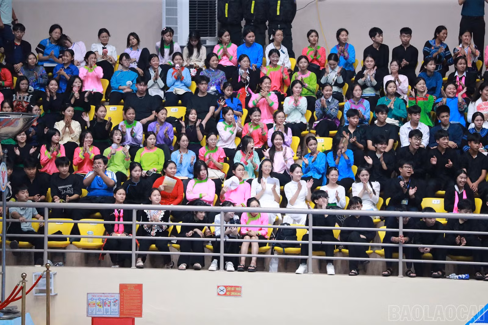 baolaocai-br_1793439532356-4509716236331767429-4509716236331767429-ed59ca6a2f820dbcd1a0e3b66ac7c494.jpg