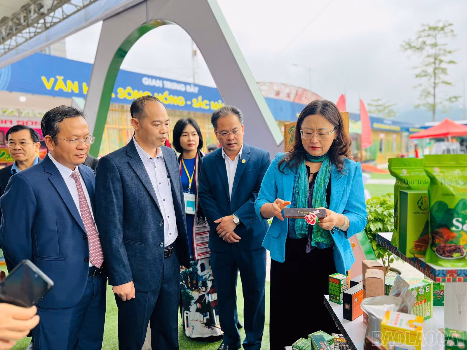 baolaocai-br_z7243553642067-c016d54c4fc629a247ae27bf026372bc.jpg