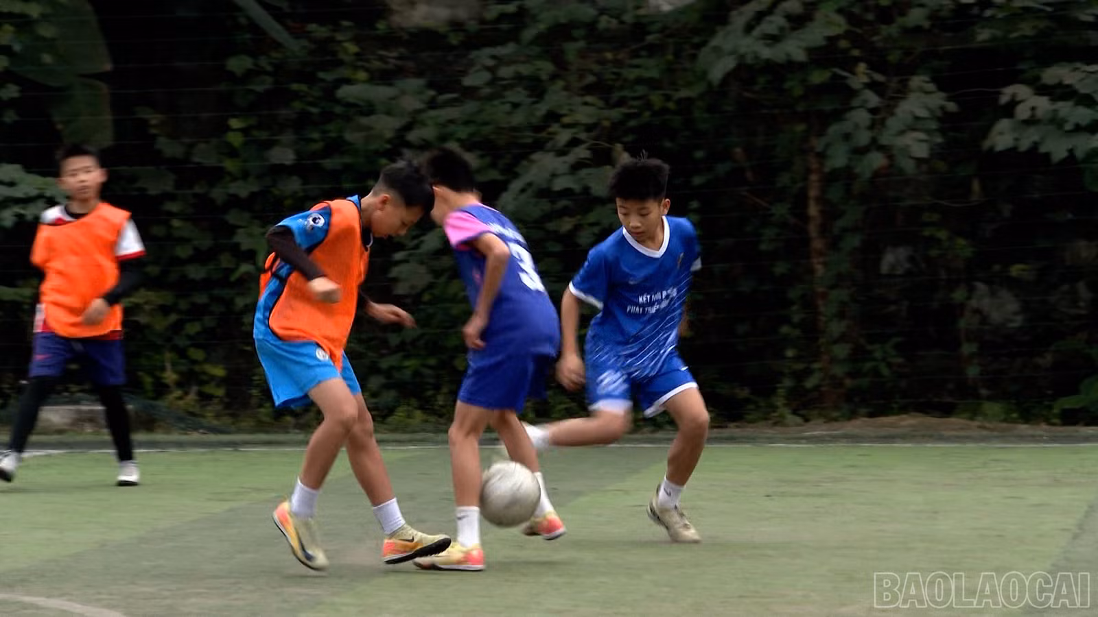 baolaocai-br_490-749800-02-28-18still022.jpg