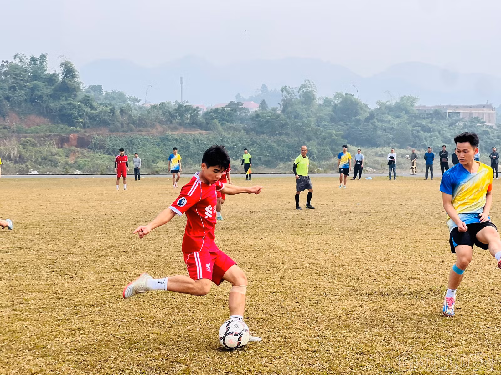baolaocai-br_z7335944160782-0d0b06b133e05d8fdbc1142ddd679aa2.jpg
