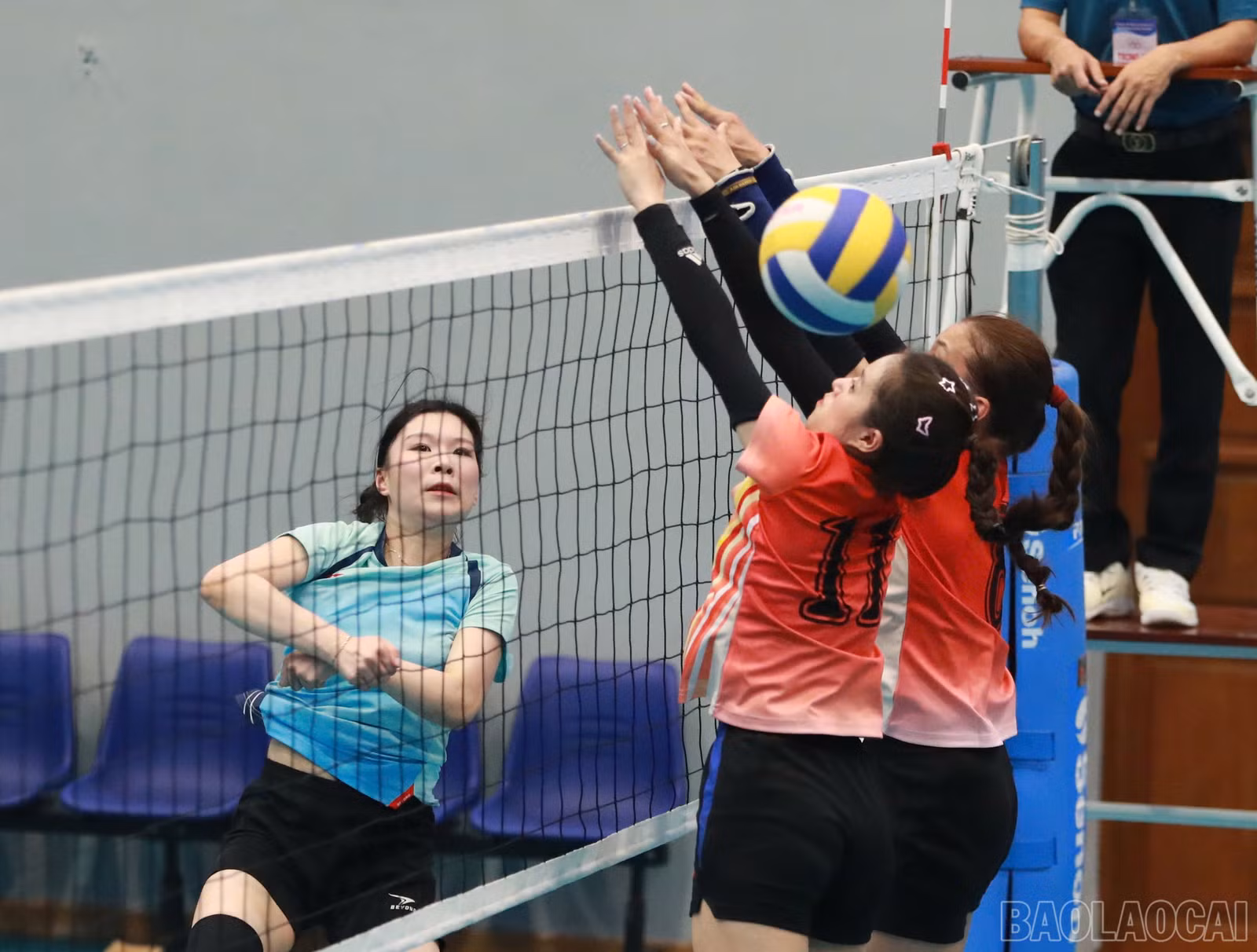 baolaocai-br_1793376136822-4509716236331767429-4509716236331767429-729a5ceb4841e67019b46e3e00edc836.jpg
