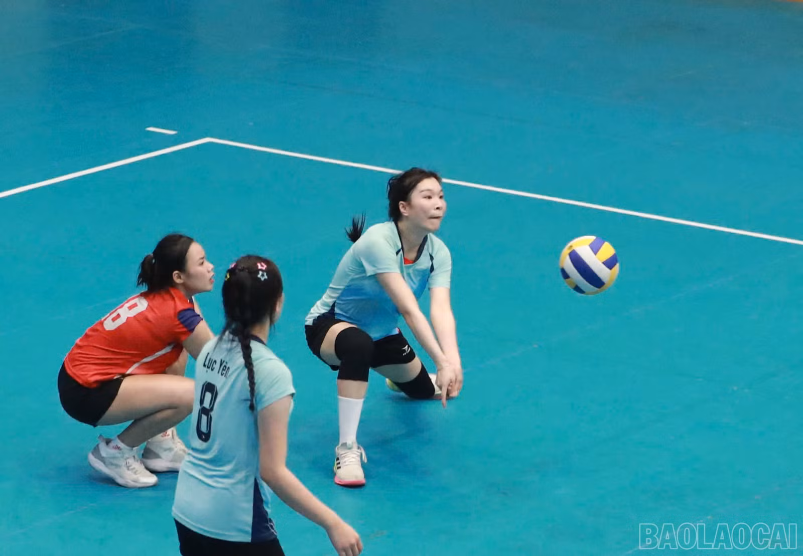 baolaocai-br_1793376136466-4509716236331767429-4509716236331767429-1cbc7e83424876453424fdc0d6934d25.jpg