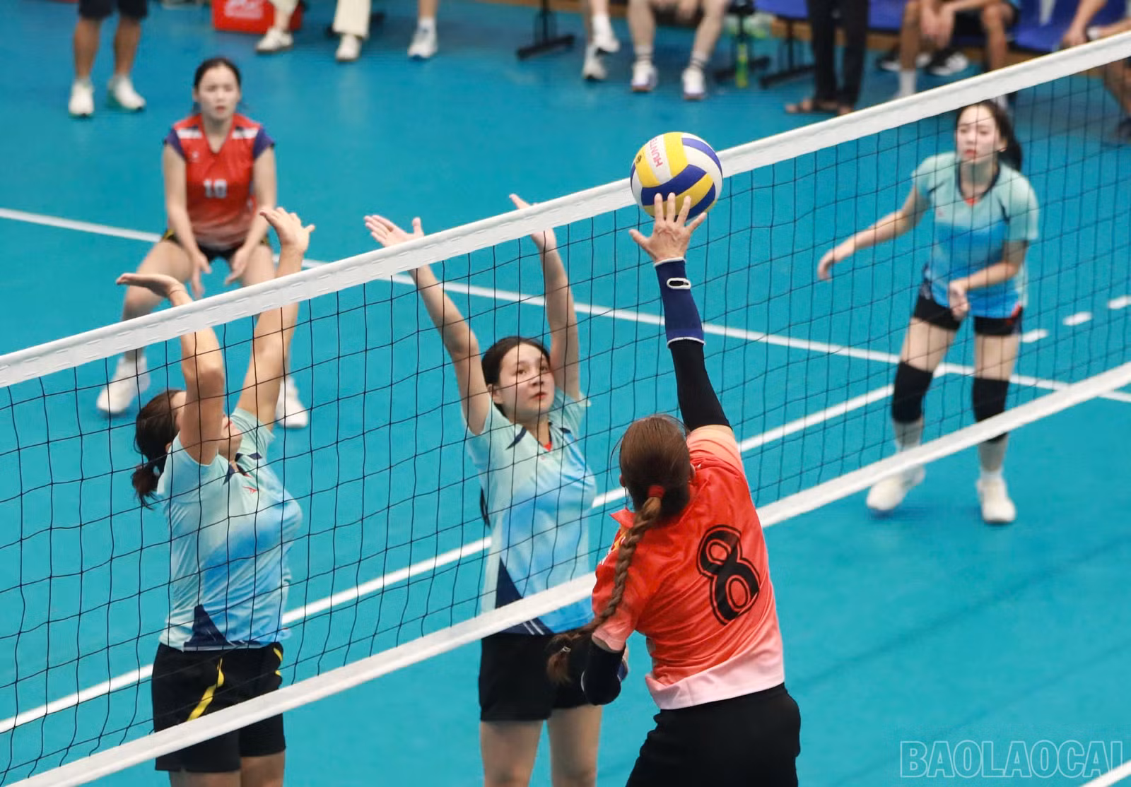 baolaocai-br_1793376132125-4509716236331767429-4509716236331767429-67c4bfff9fa1ec1b4bd1c8250de5a606.jpg