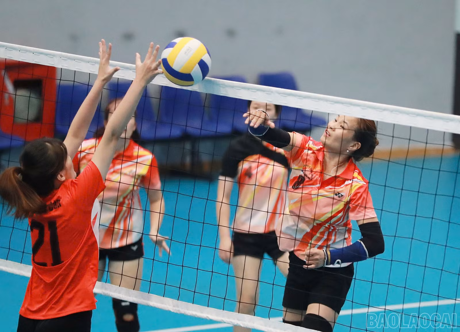 baolaocai-br_1793331001804-4509716236331767429-4509716236331767429-43354aec20769ecd01eb12fabb8e40bb.jpg