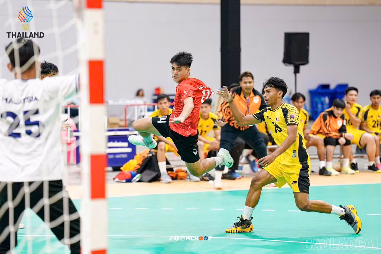 baolaocai-br_z7339129893796-04e2199314e32d16dc489aebe7696d67.jpg