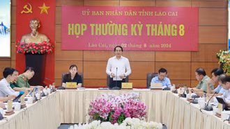 UBND tỉnh họp phiên thường kỳ tháng 8/2024