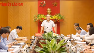 Tập trung khôi phục sản xuất, phát triển nông nghiệp hàng hóa