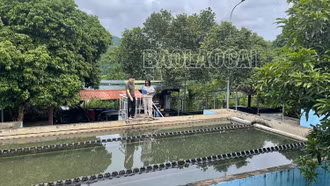Nỗ lực để sớm cấp nước sinh hoạt trở lại
