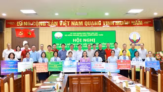Tiếp nhận gần 60 tấn giống ngô, lúa hỗ trợ phục hồi sản xuất sau bão số 3