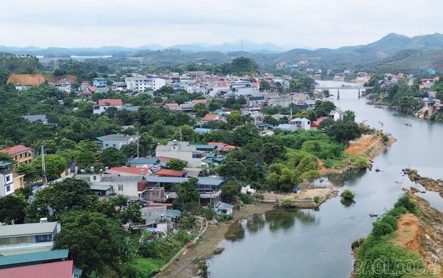 baolaocai-br_1.jpg