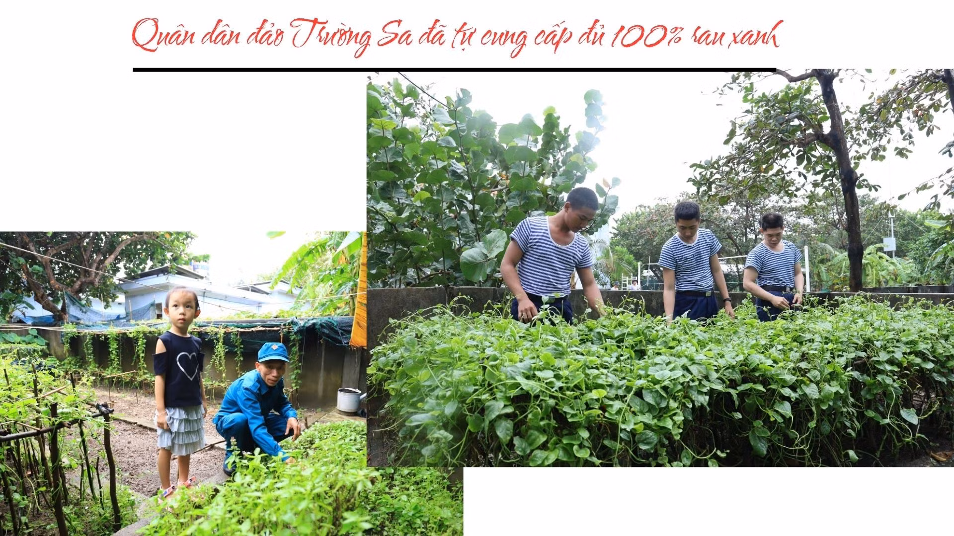 doan-kinh-te-quoc-phong-345-14.jpg