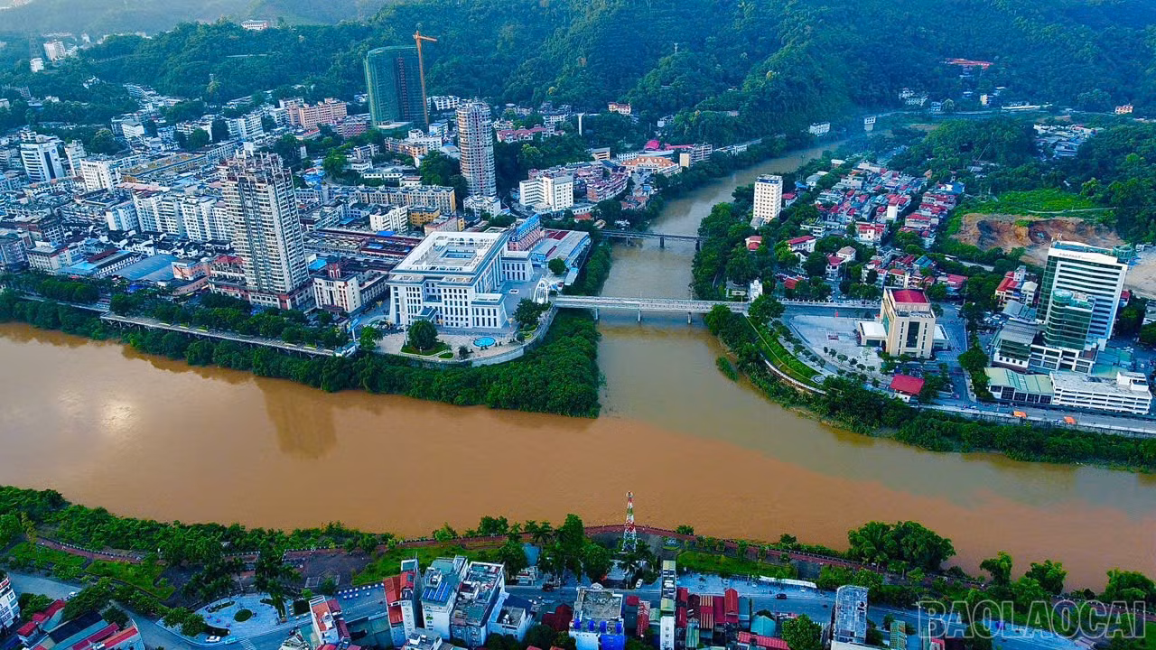 baolaocai-br_z6446436238521-a707b2e05613b3ecc1335d489799e9c7.jpg