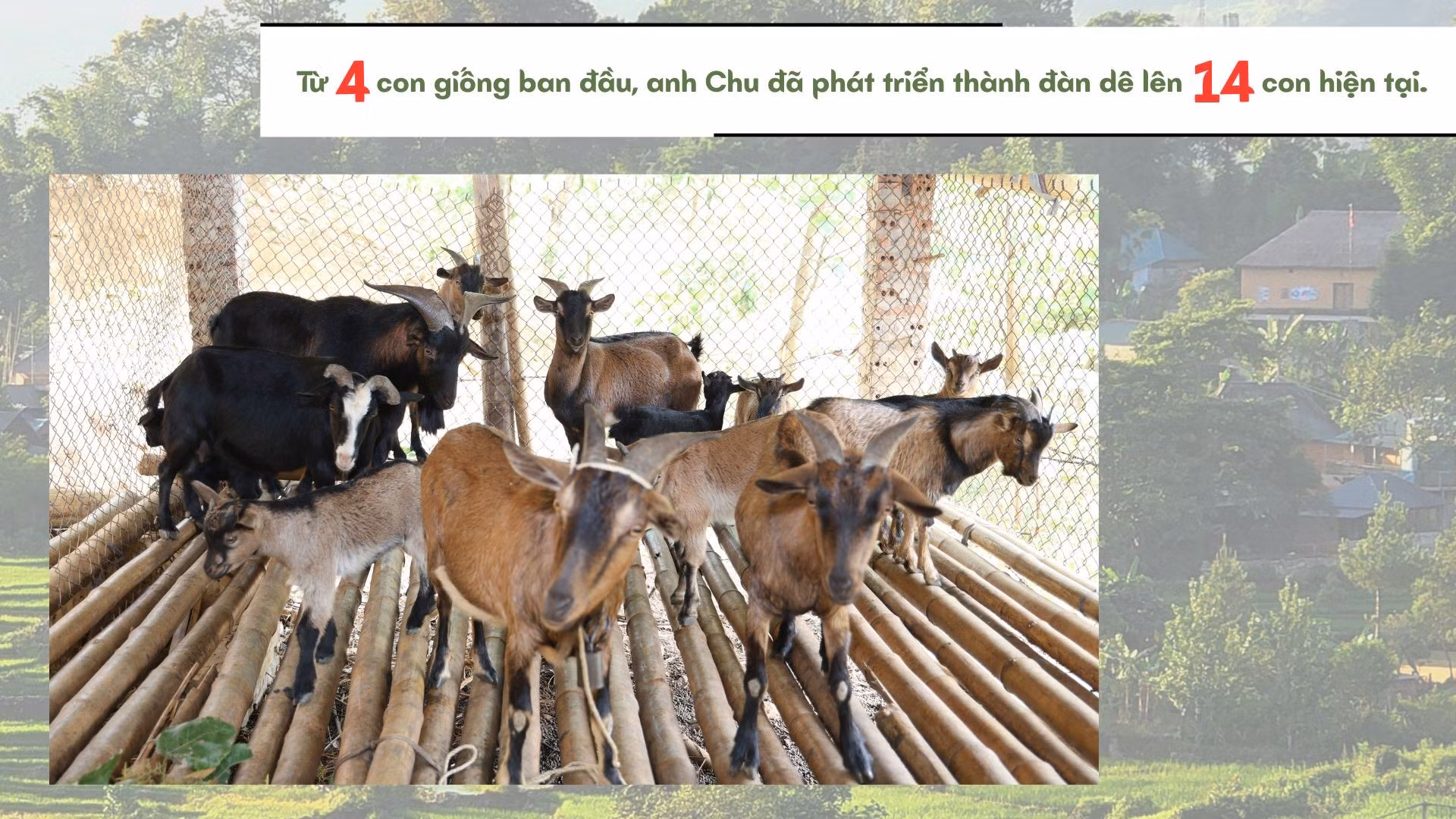 doan-kinh-te-quoc-phong-345-5.jpg