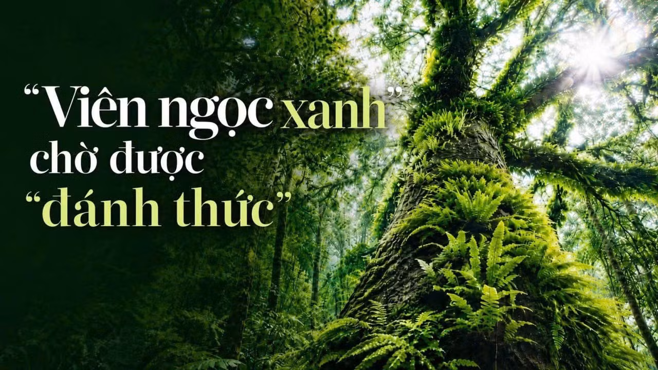 “Viên ngọc xanh” chờ được “đánh thức” 