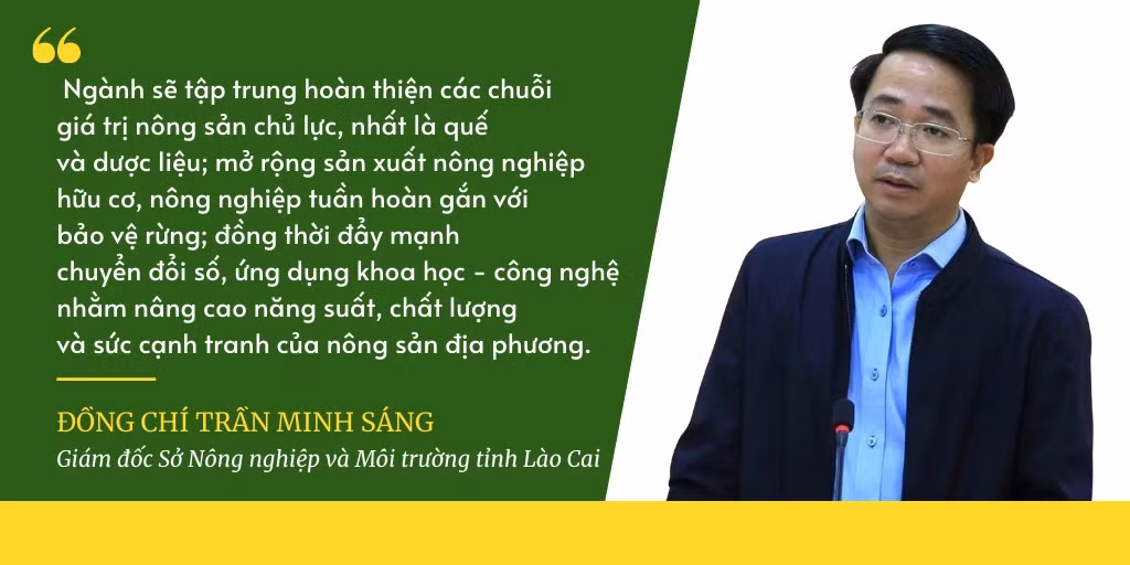 phongvan.png