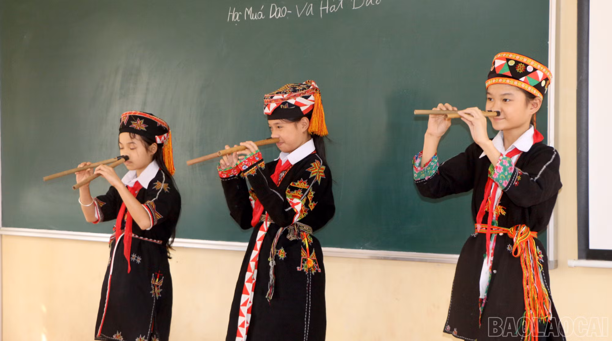 baolaocai-br_img-9269.jpg