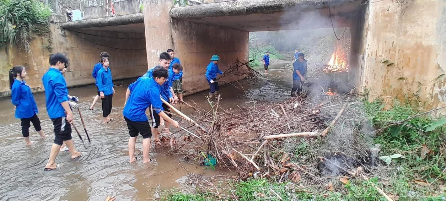 baolaocai-br_706811359-1298611809129686-4106613612606691547-n.jpg