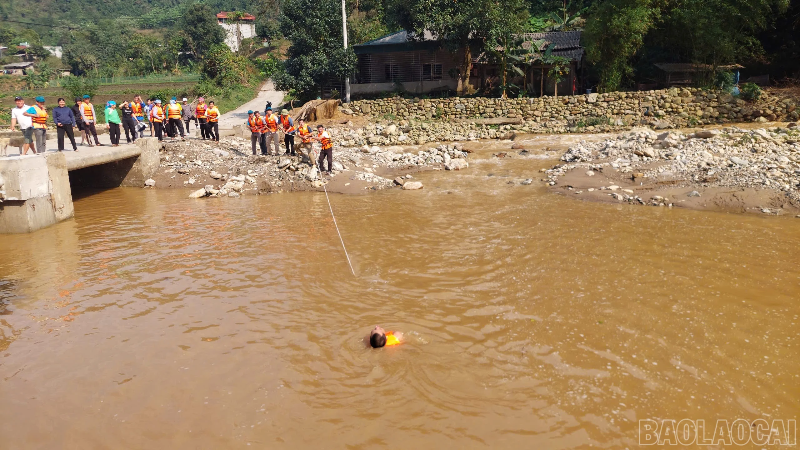 baolaocai-br_192244325901435329522.jpg
