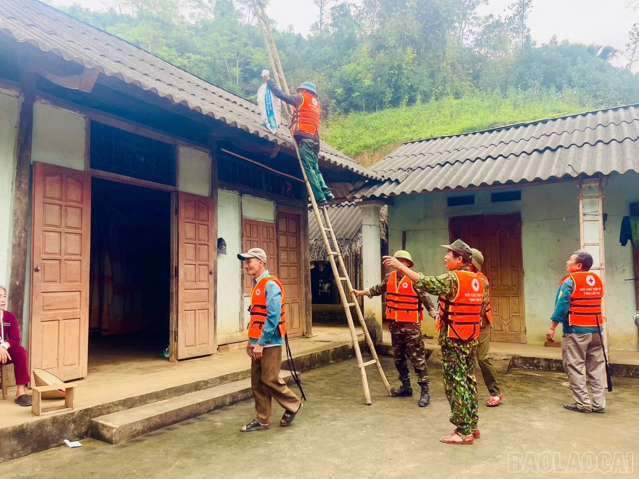 baolaocai-br_1941091572904055911.jpg