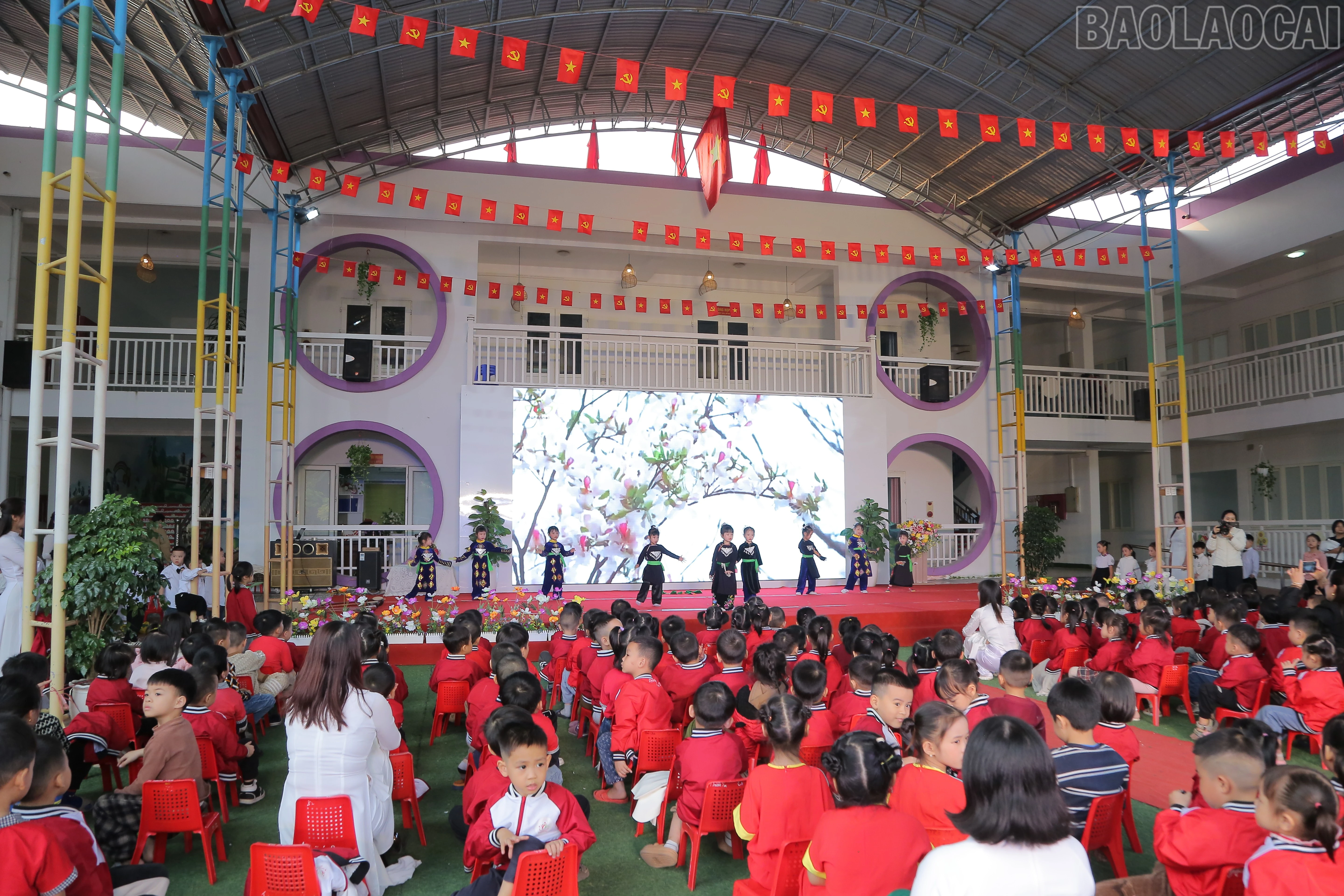 baolaocai-tr_cici8297.jpg