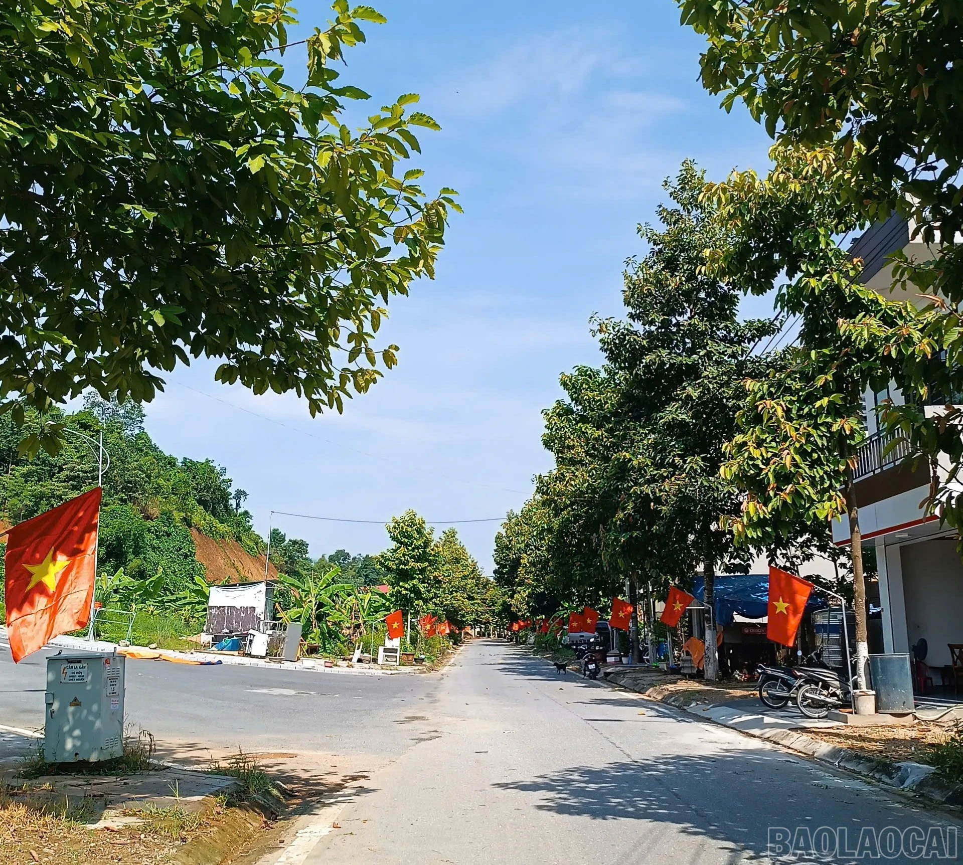 Tuyến đường Vương Thừa Vũ.