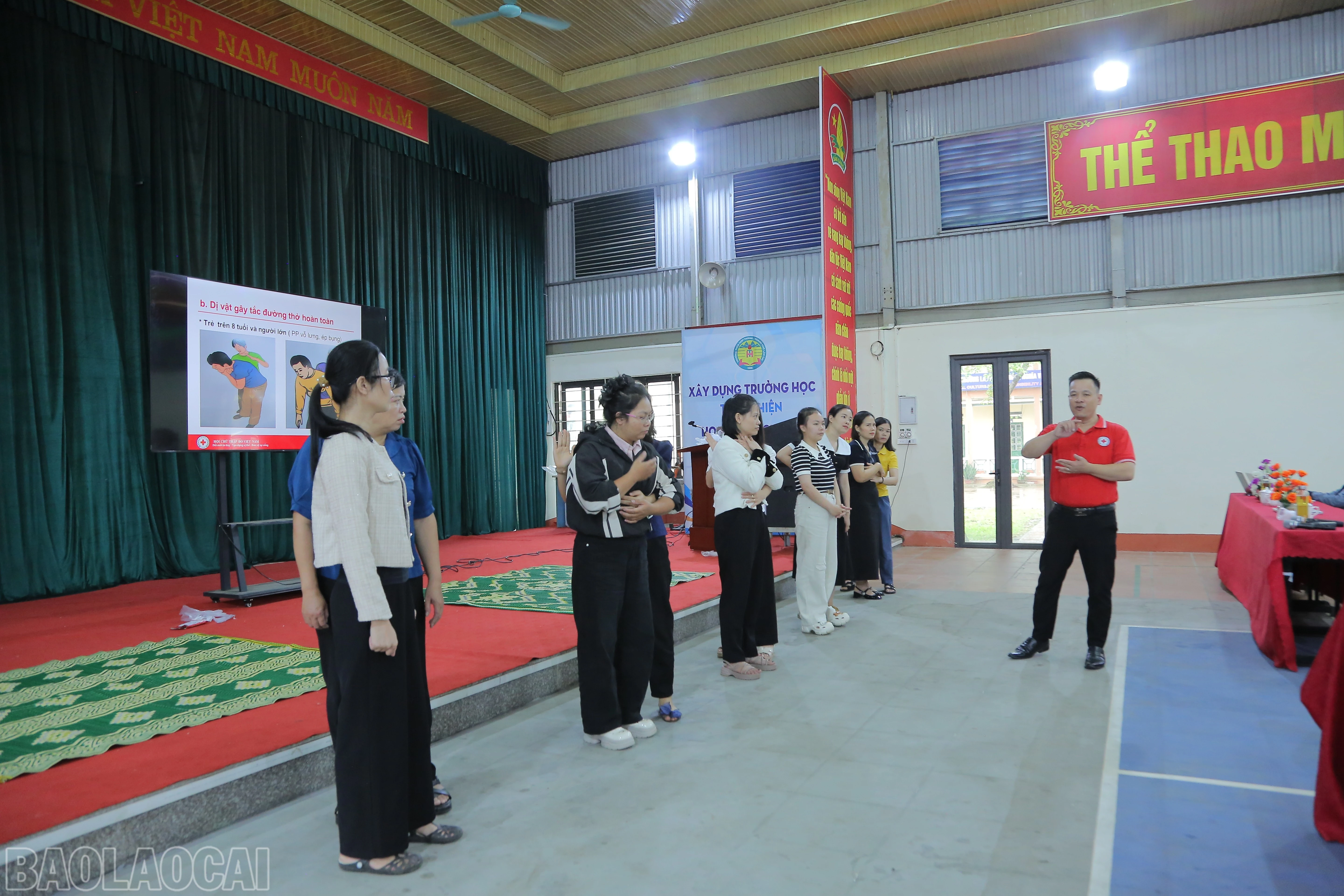 baolaocai-bl_cici6418.jpg