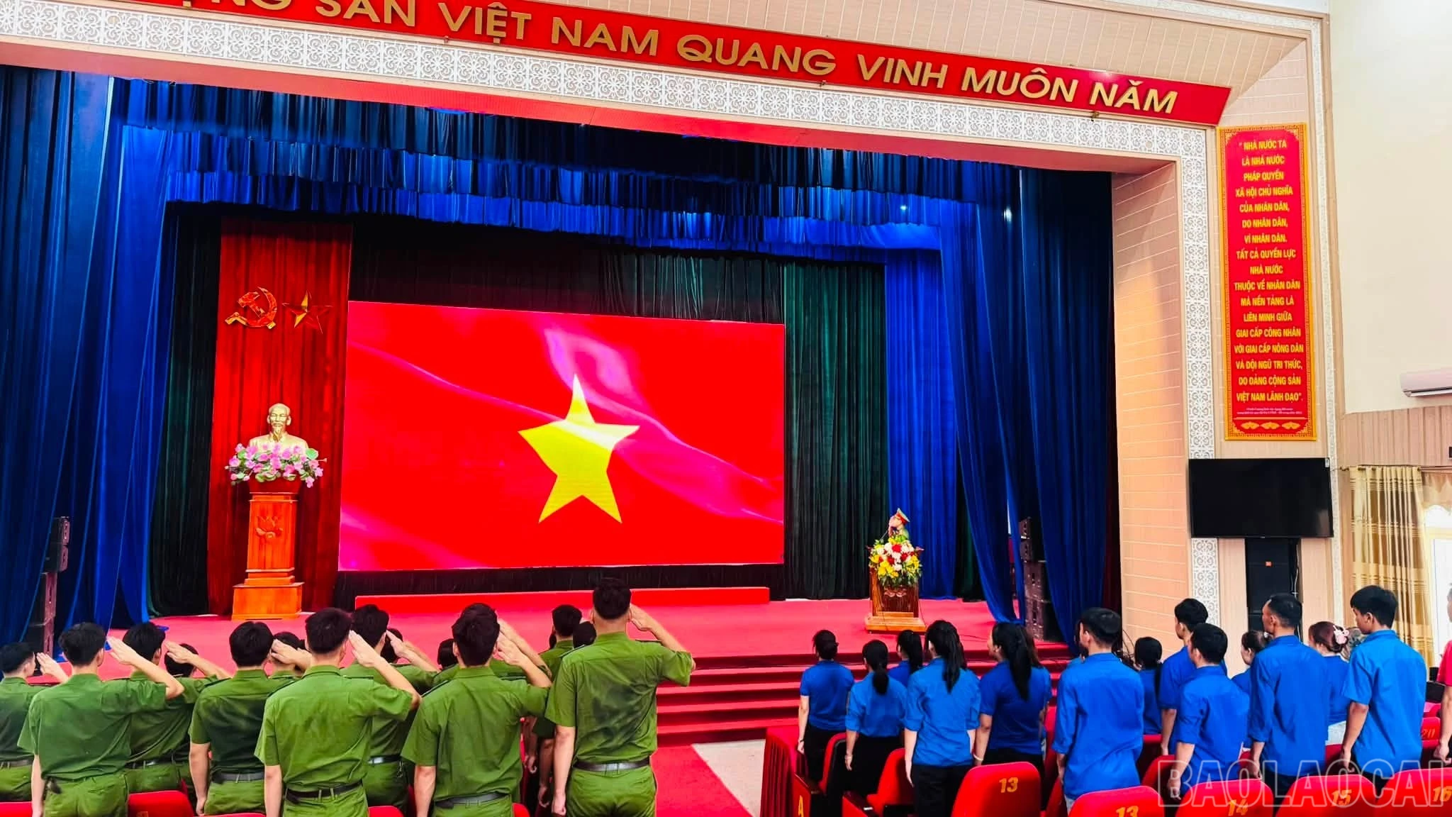 baolaocai-br_791228122-122191879736924909-7861732048829421893-n.jpg