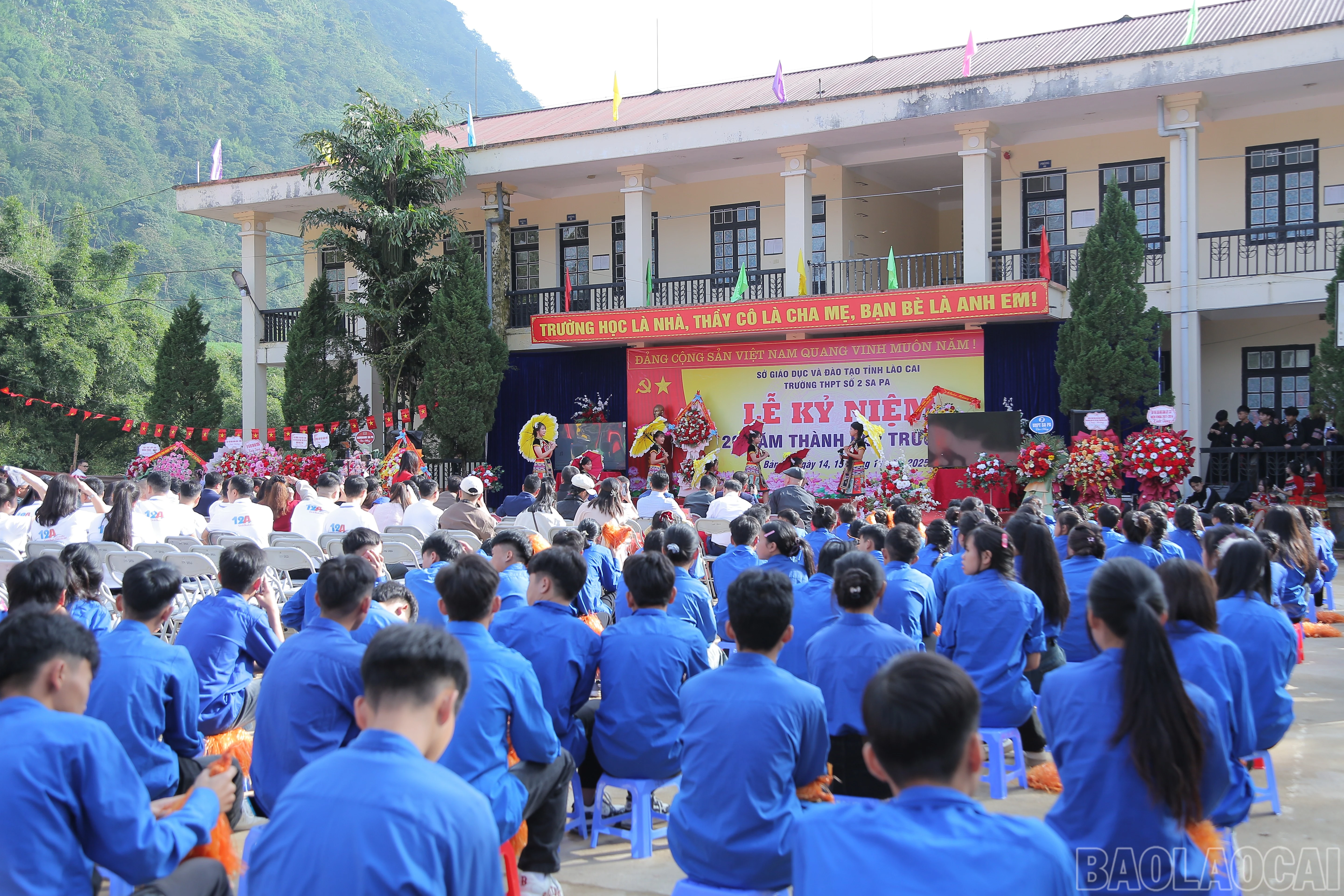 baolaocai-br_cici6696.jpg