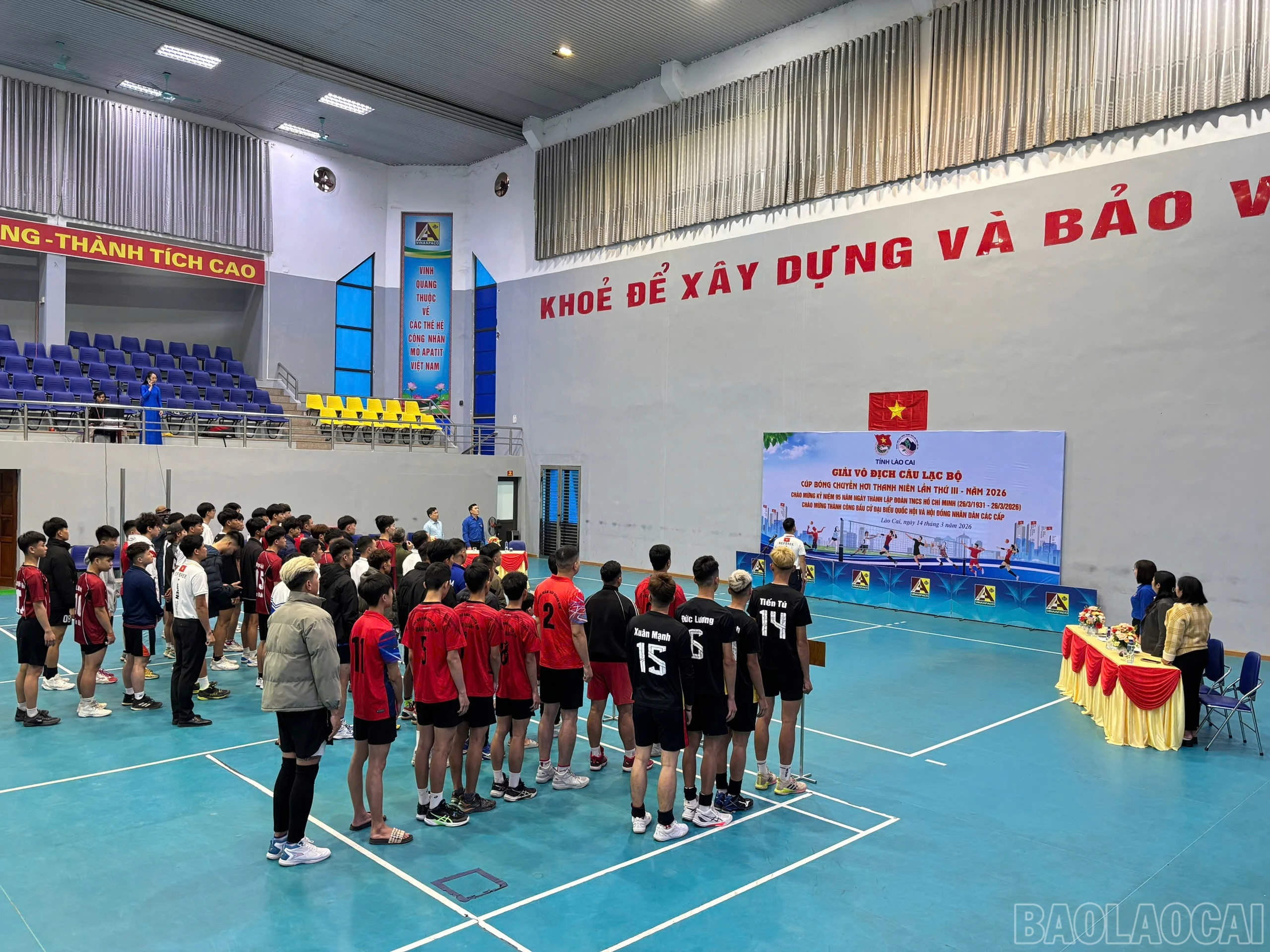 baolaocai-br_9709d1ab-4951-4296-93ec-e07d59c81285.jpg