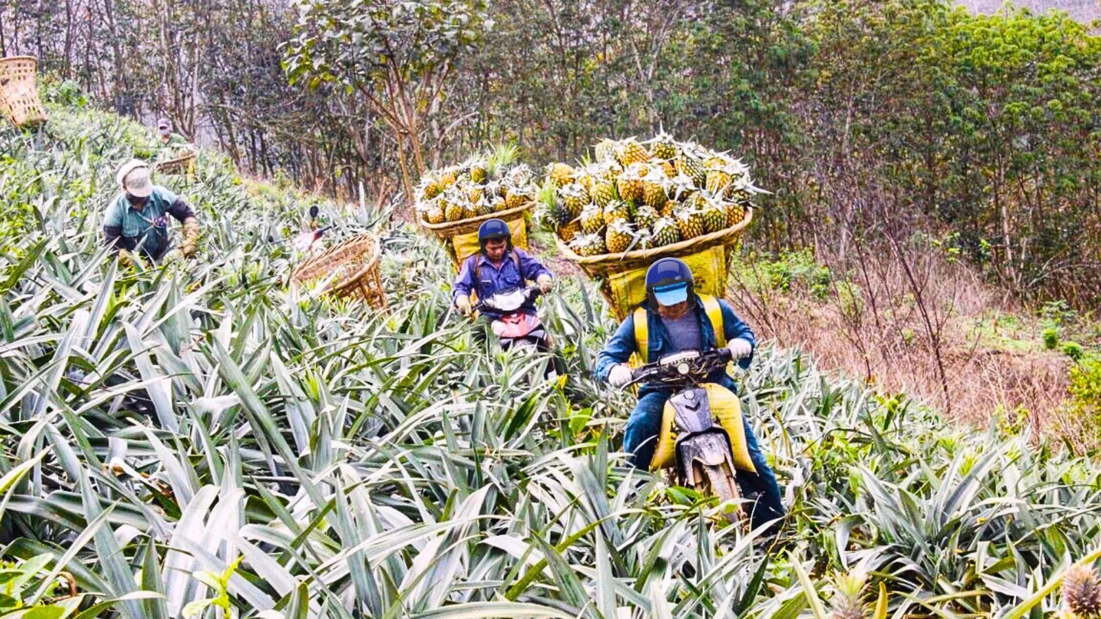 thiet-ke-chua-co-ten-20250312-095902-0000.jpg