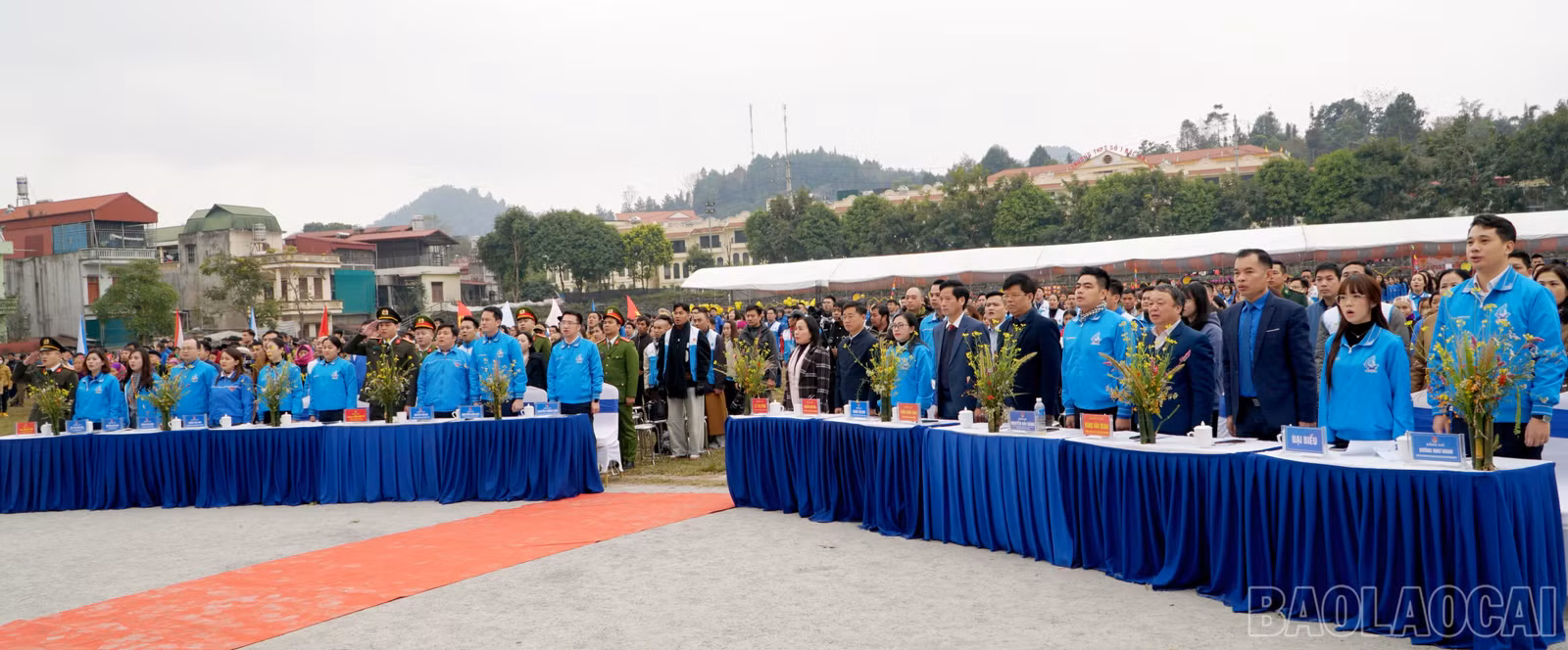 baolaocai-br_img-20241229-113452.jpg