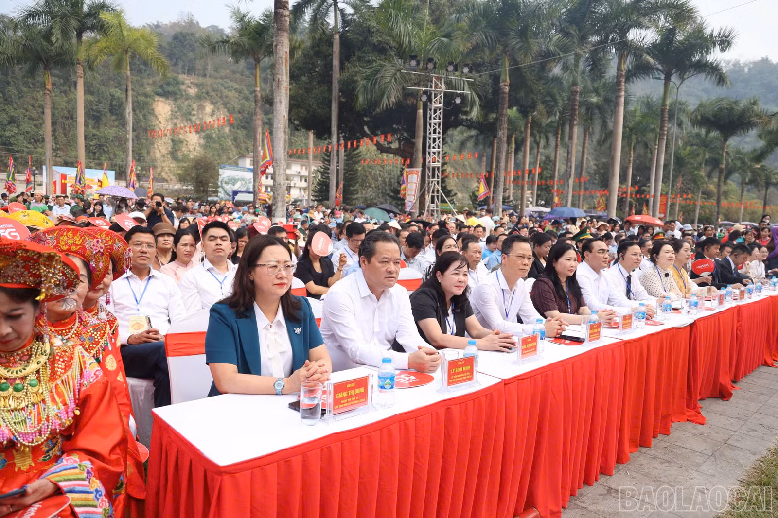 baolaocai-br_img-8905.jpg