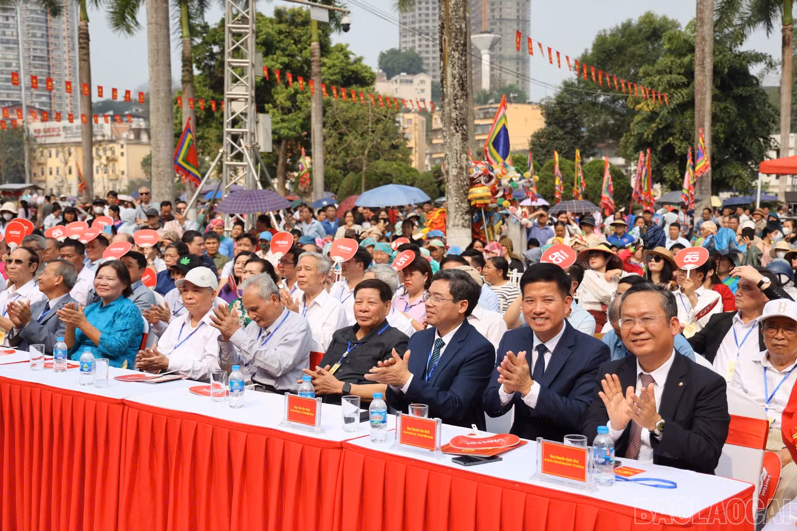 baolaocai-br_img-8904.jpg