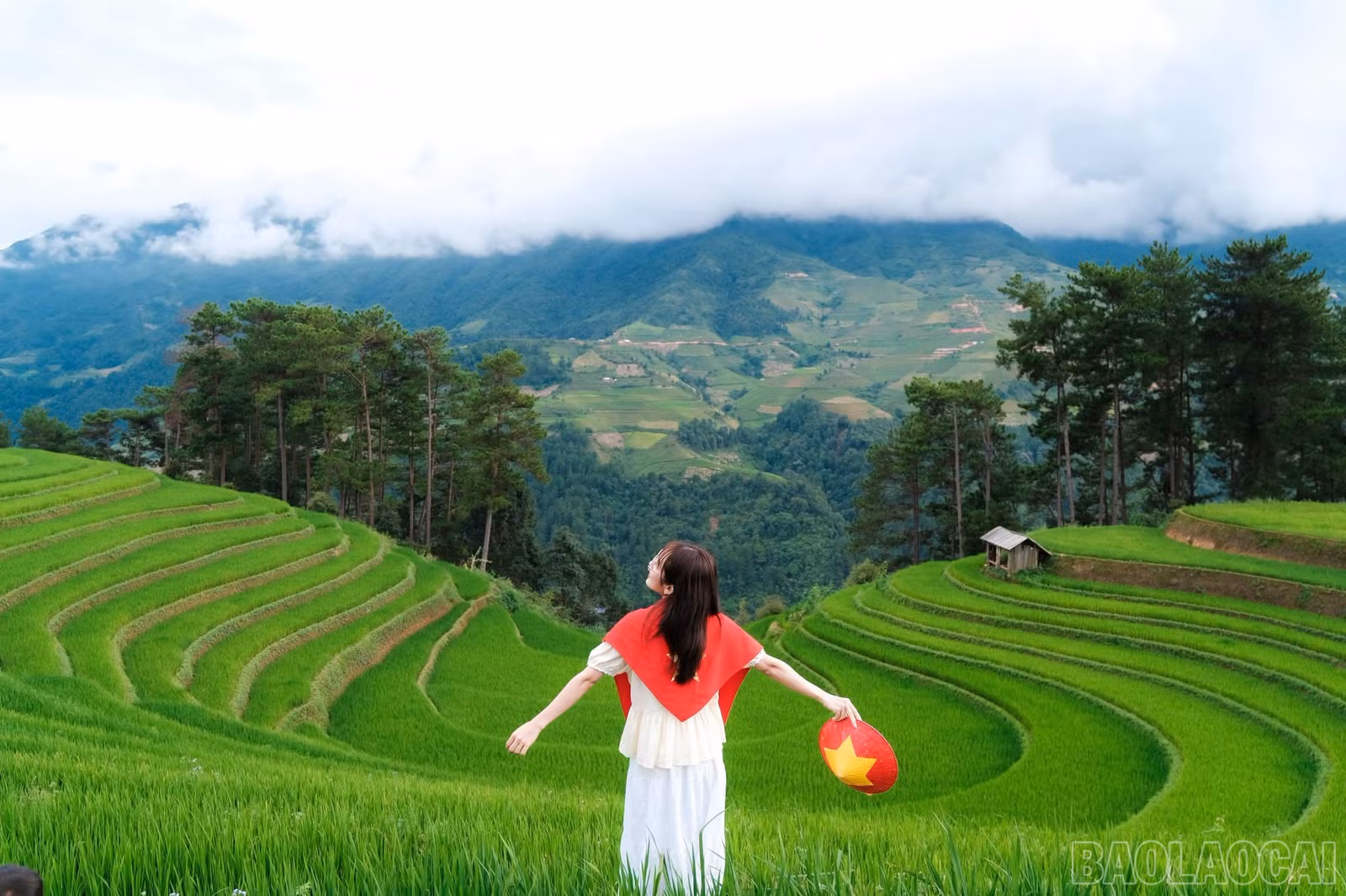 baolaocai-br_img-2587.jpg