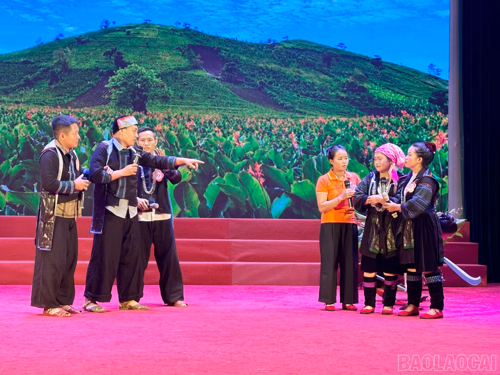 baolaocai-br_img-2516.jpg