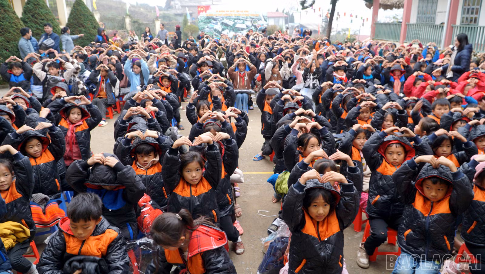 baolaocai-br_img-20241212-190658.jpg