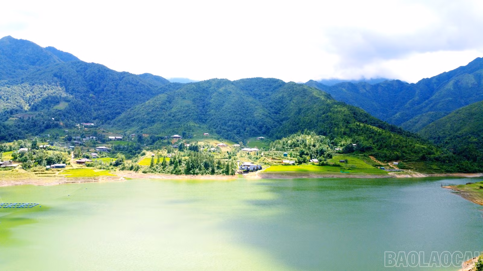 baolaocai-br_img-20250802-090927.jpg
