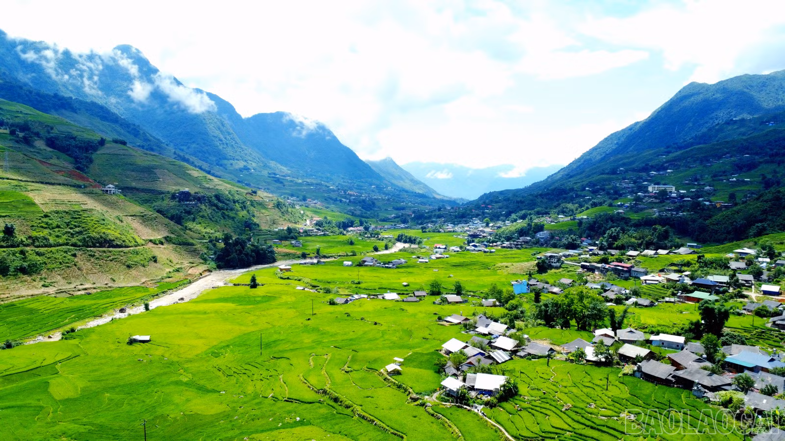 baolaocai-br_img-20250802-084915.jpg