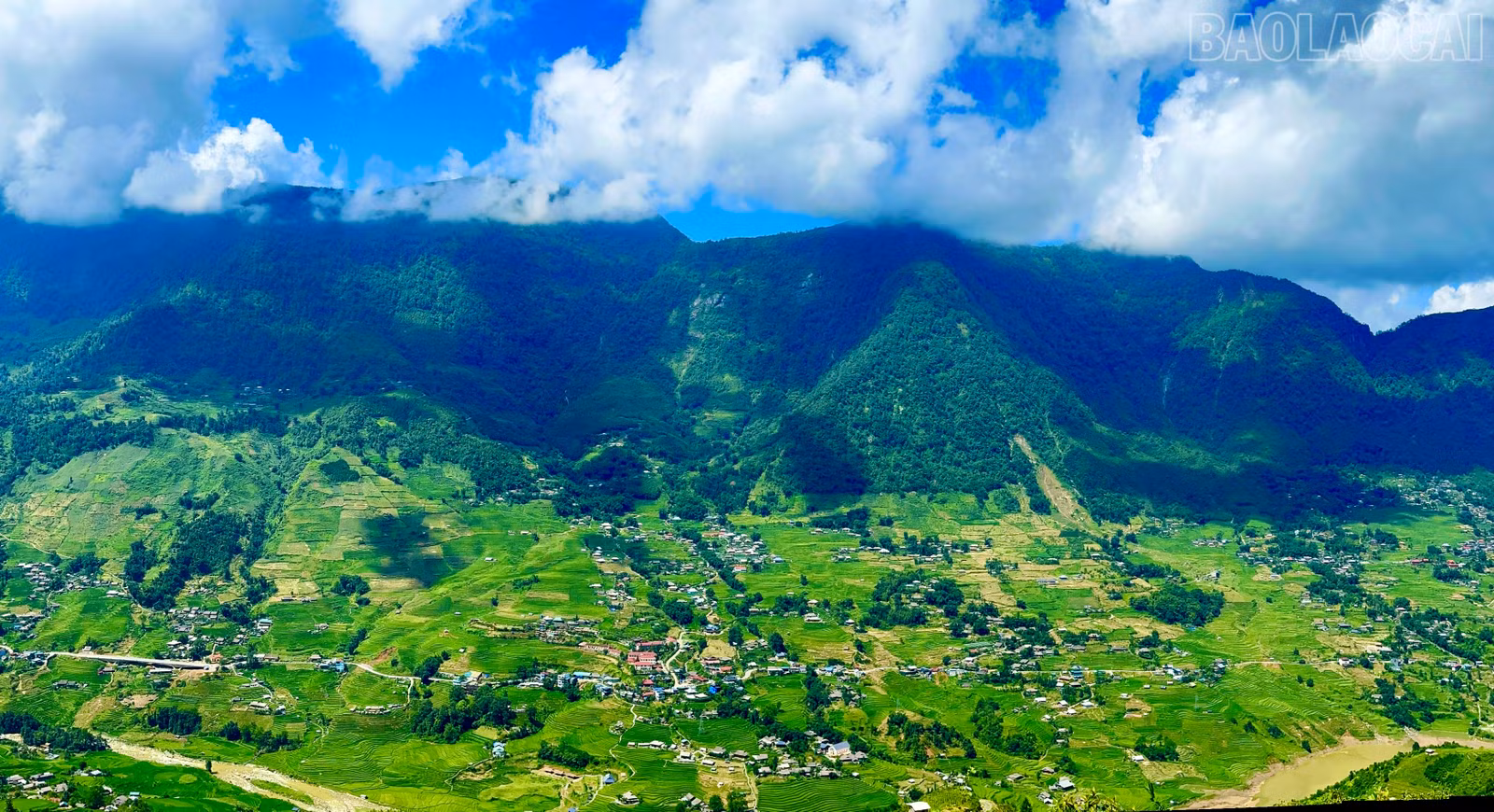 baolaocai-tr_img-2987.jpg