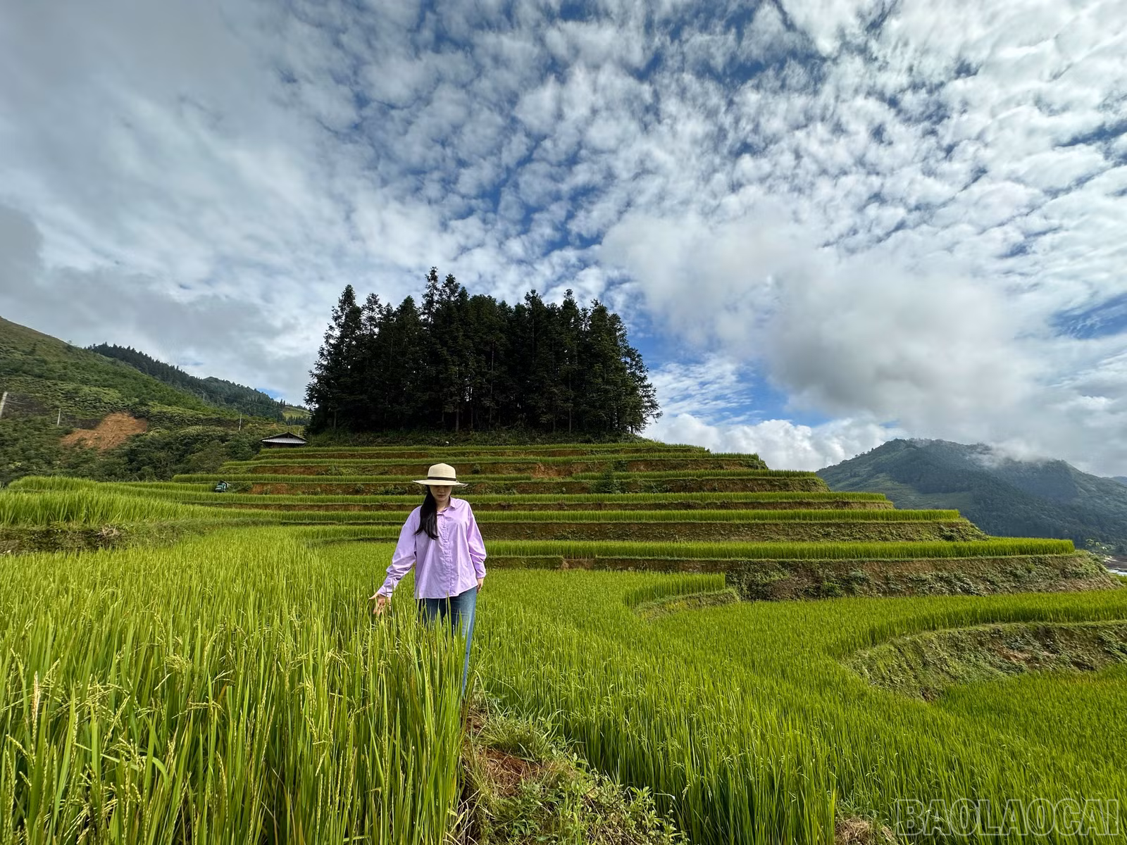 baolaocai-br_img-4310.jpg