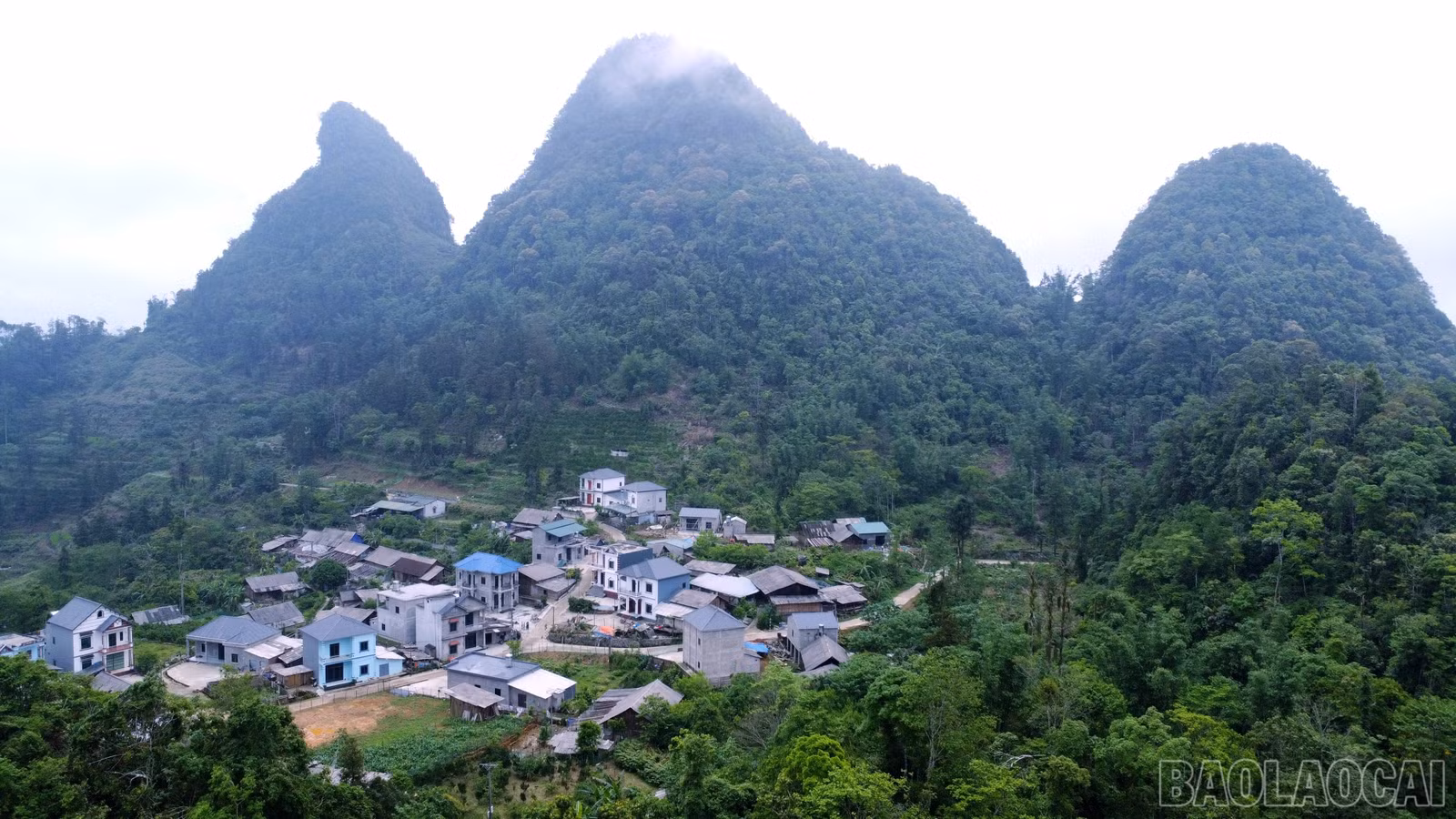 baolaocai-br_img-20260318-152752.jpg