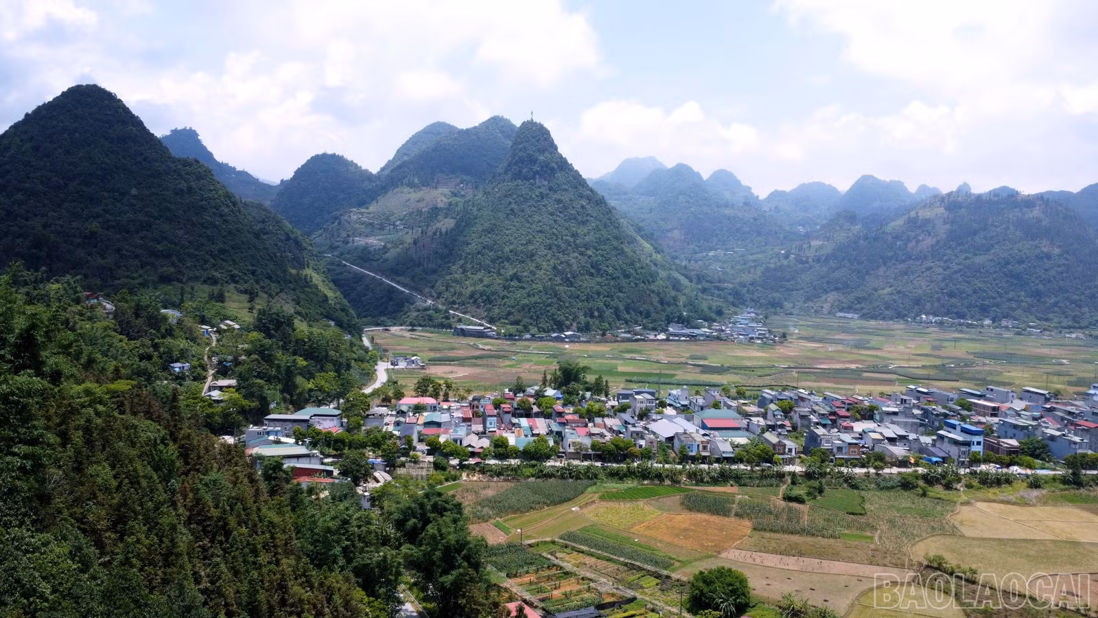 baolaocai-br_img-20260318-152721.jpg